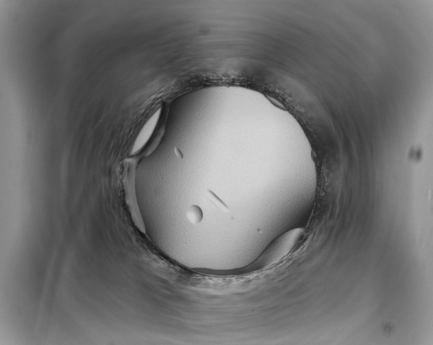 X0000098200037200805081122