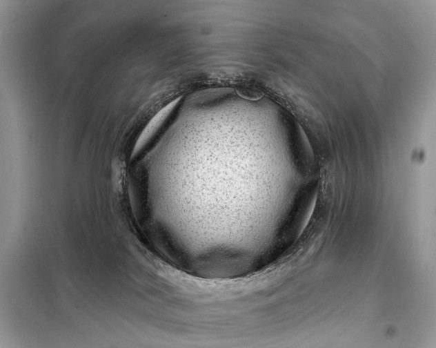 X0000098200038200805081122