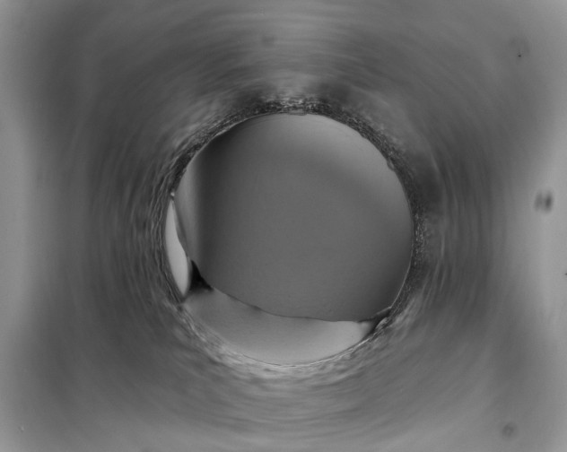 X0000098200039200805081122