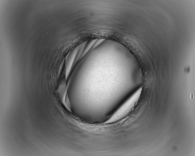 X0000098200040200805081122