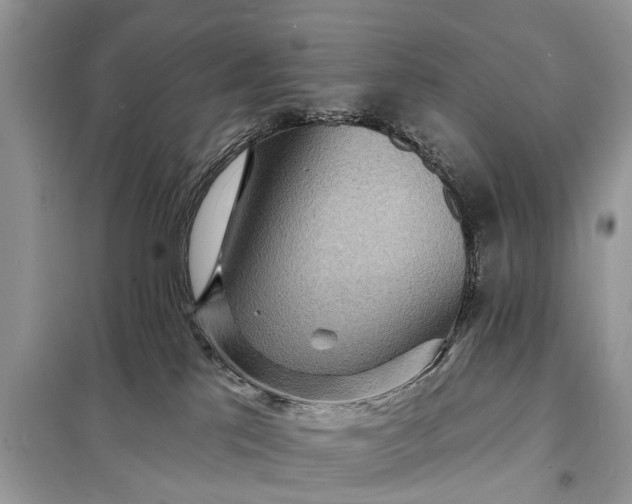X0000098200041200805081122