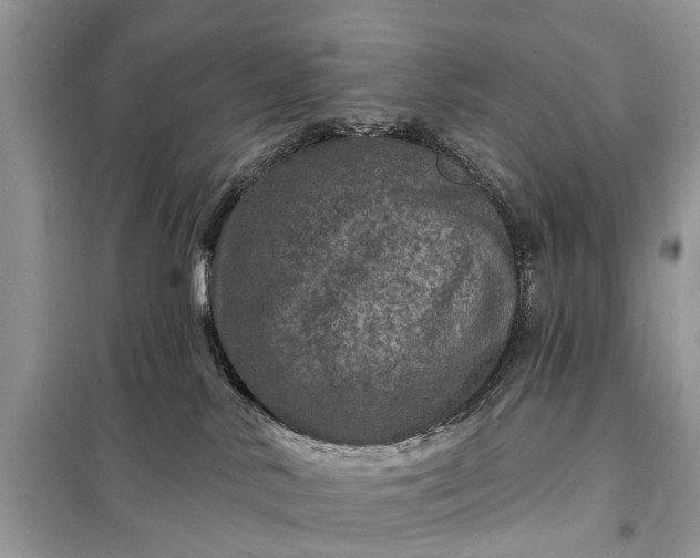 X0000098200042200805081121
