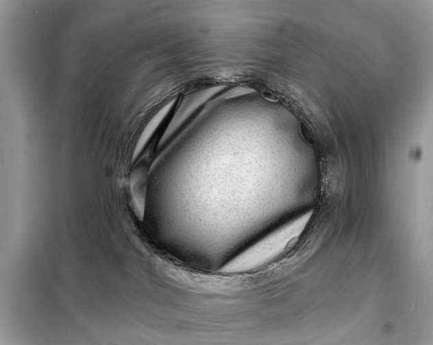 X0000098200044200805081121