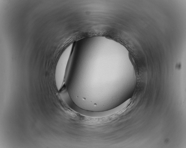 X0000098200045200805081121