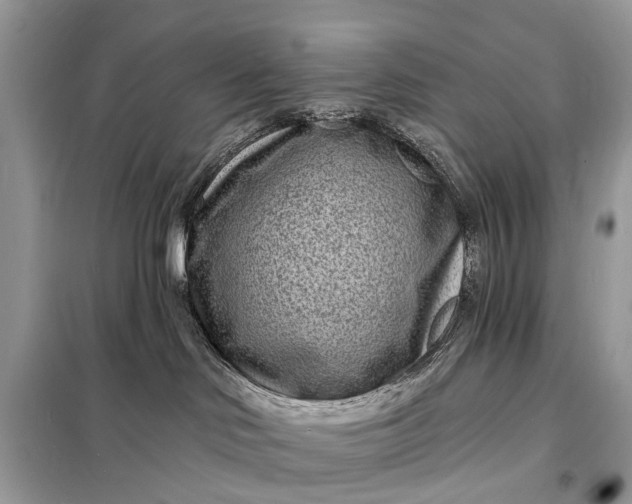 X0000098200046200805081121