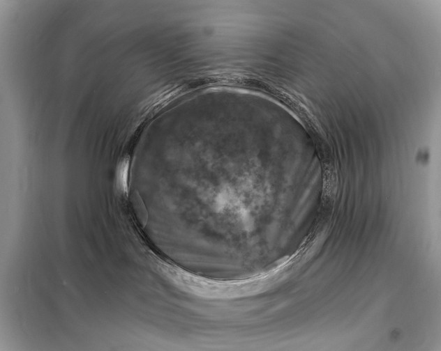 X0000098200047200805081121