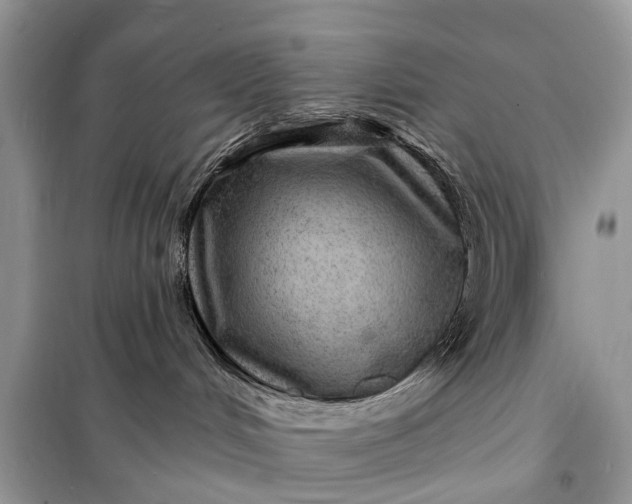 X0000098200048200805081121