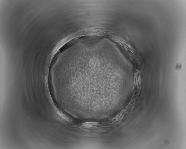 X0000098200051200805081121