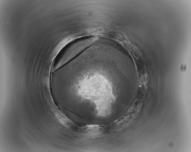 X0000098200052200805081121