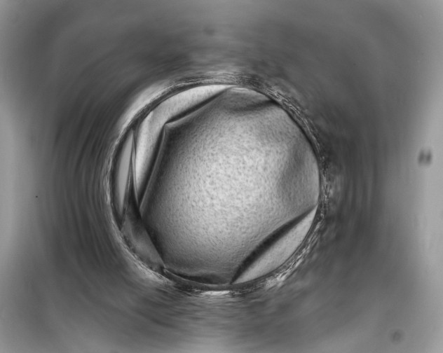 X0000098200054200805081121