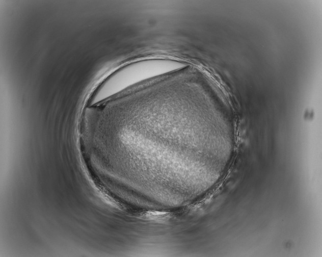 X0000098200055200805081121