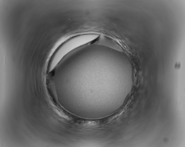 X0000098200056200805081121