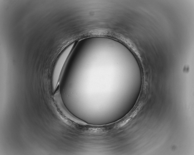 X0000098200057200805081121