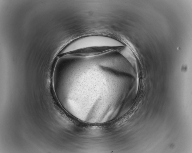 X0000098200059200805081121