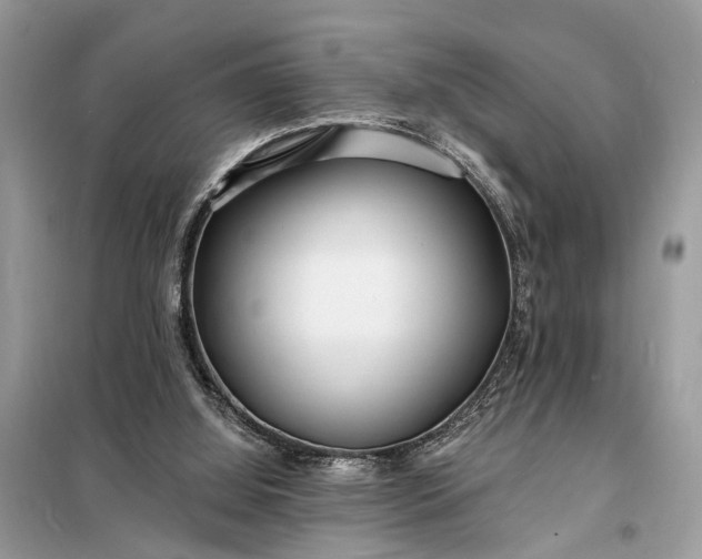 X0000098200060200805081121