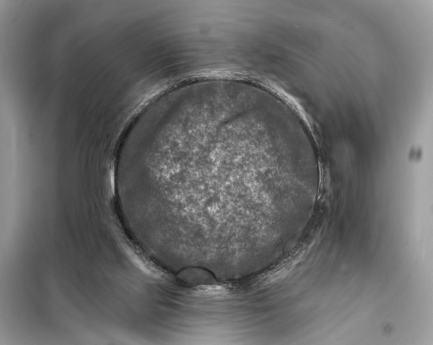 X0000098200061200805081121