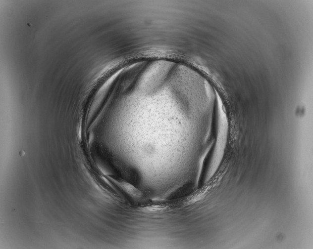 X0000098200062200805081121