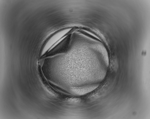 X0000098200063200805081121