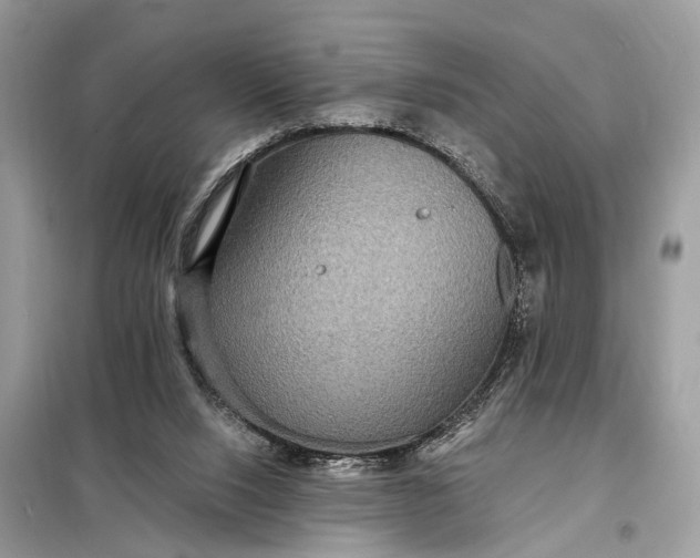 X0000098200064200805081121