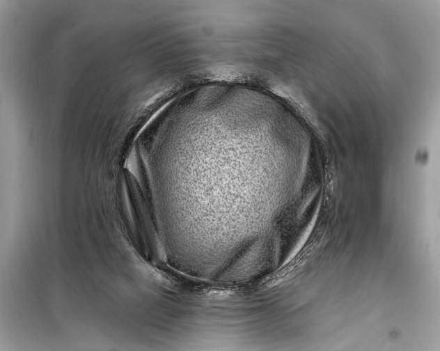 X0000098200066200805081121