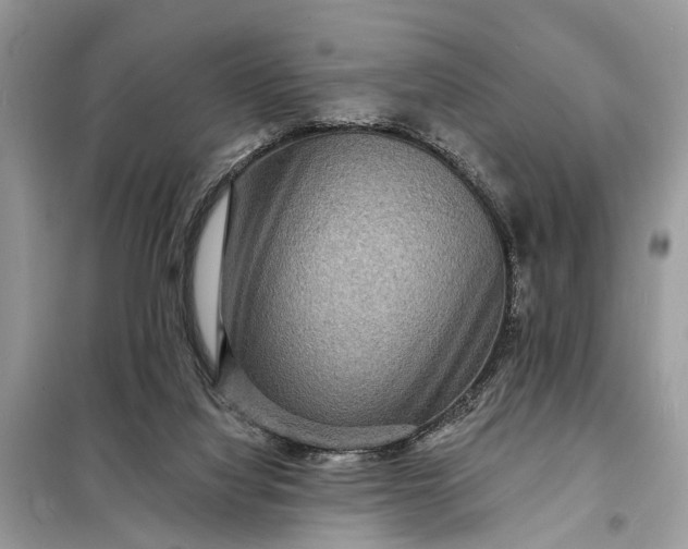 X0000098200068200805081121