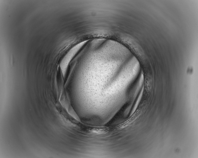 X0000098200070200805081121