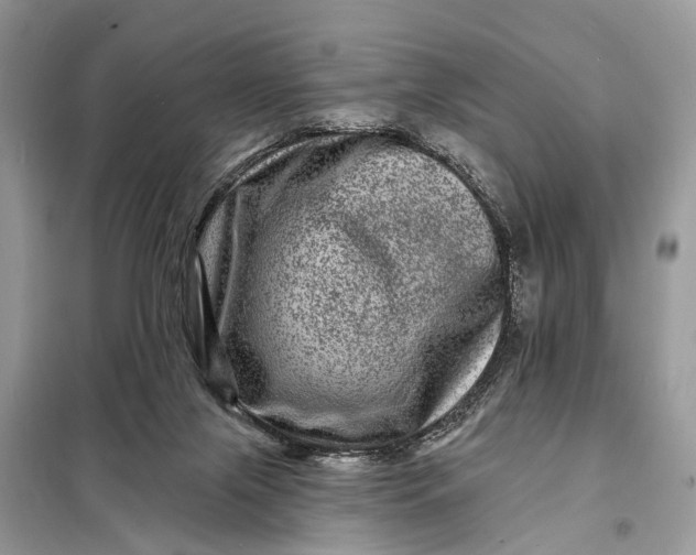 X0000098200071200805081121