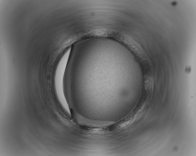 X0000098200072200805081121