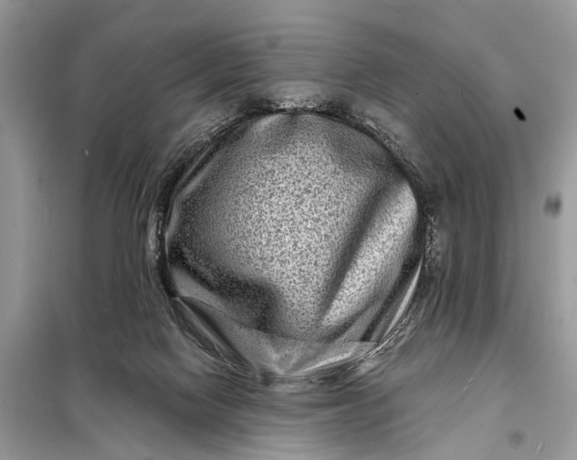 X0000098200074200805081121
