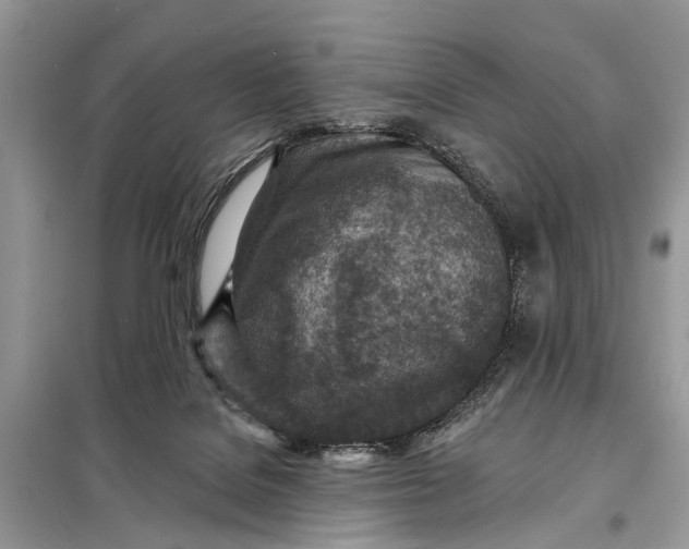 X0000098200076200805081121