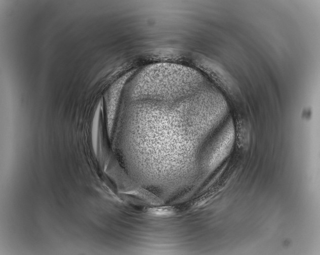 X0000098200077200805081121