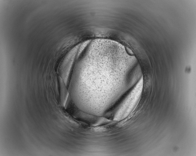 X0000098200078200805081121