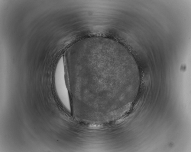 X0000098200080200805081121