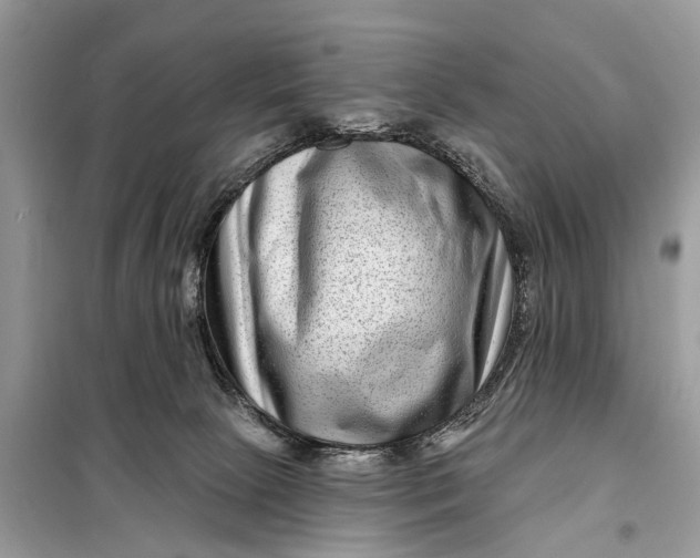 X0000098200081200805081121