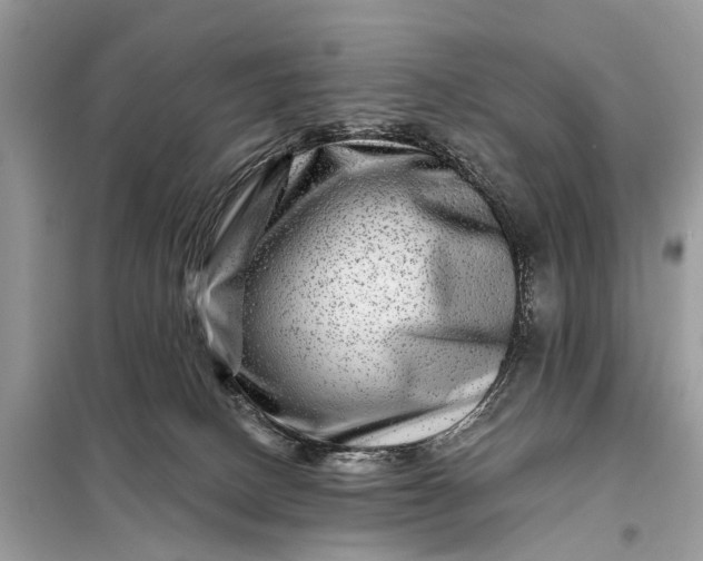 X0000098200082200805081121