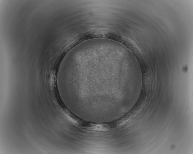 X0000098200083200805081121