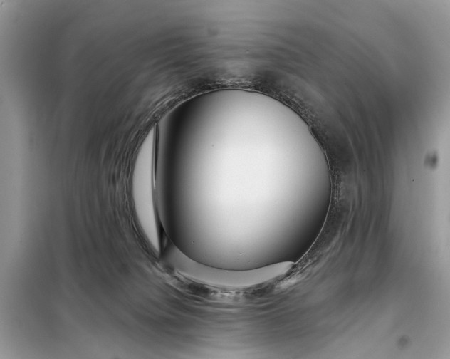 X0000098200084200805081121