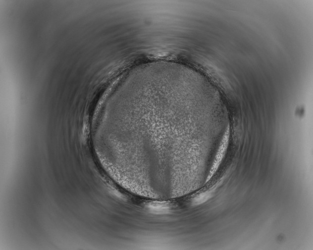X0000098200085200805081121