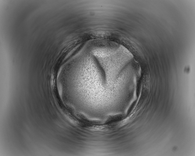 X0000098200086200805081121