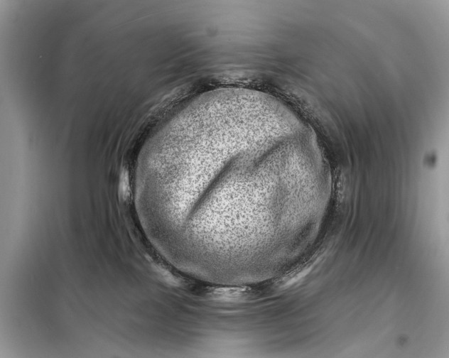 X0000098200089200805081121