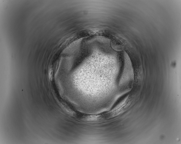 X0000098200090200805081121