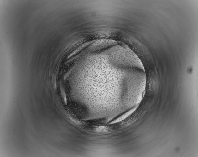 X0000098200091200805081121