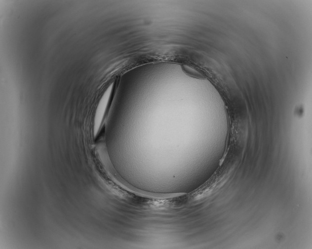 X0000098200092200805081121