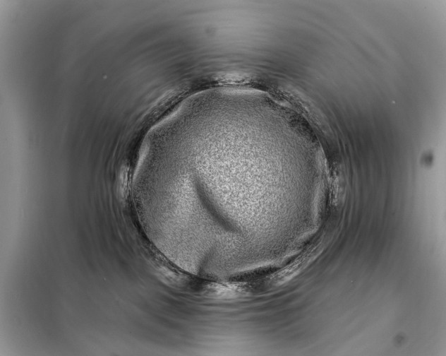 X0000098200093200805081121