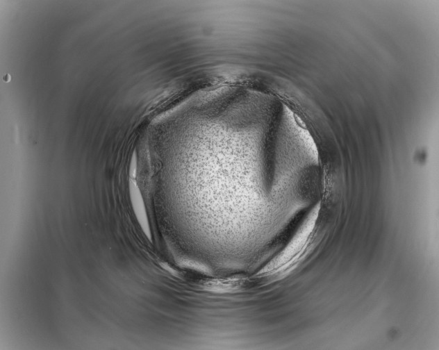 X0000098200094200805081121