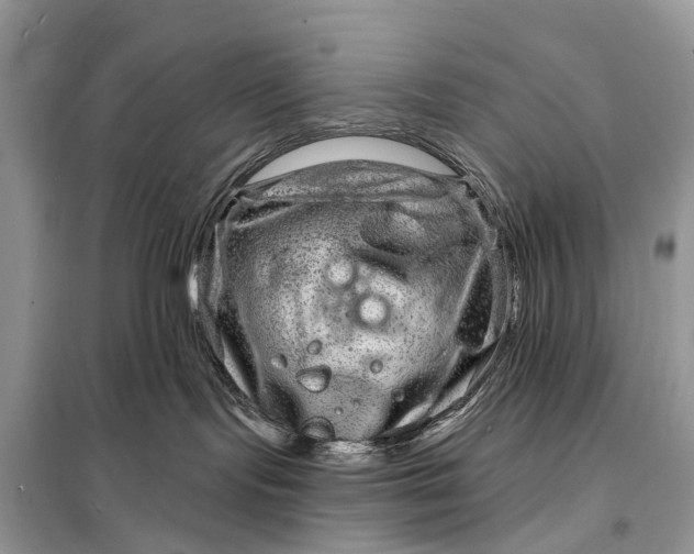 X0000098200095200805081121