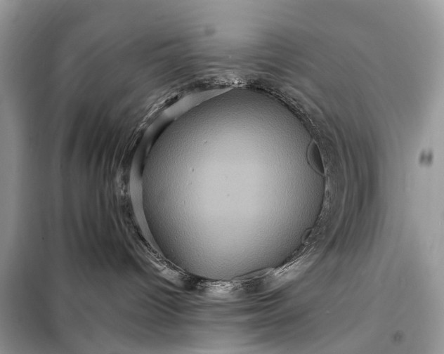 X0000098200096200805081121