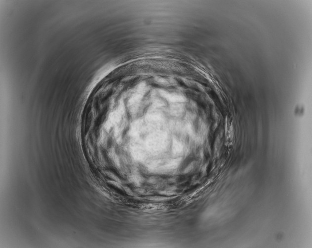 X0000098200099200805081120