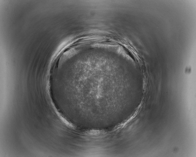 X0000098200101200805081120