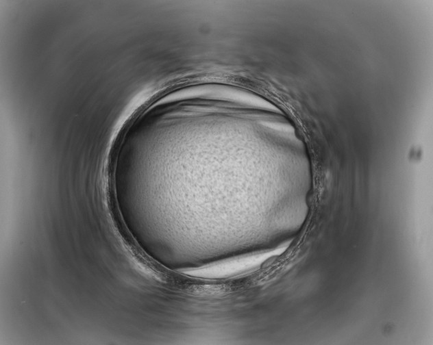 X0000098200102200805081120